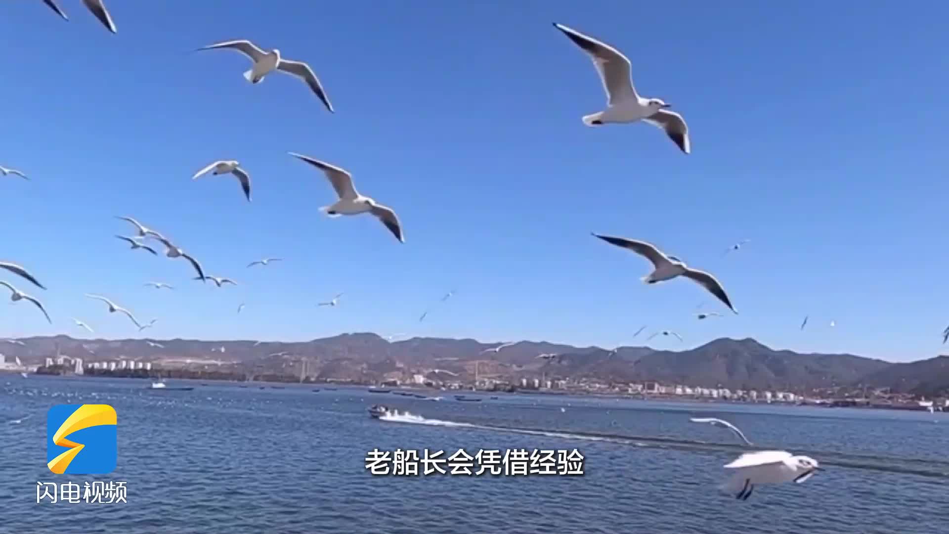蔚藍對話·智啟未來：國際視野下的海洋AI戰略機遇