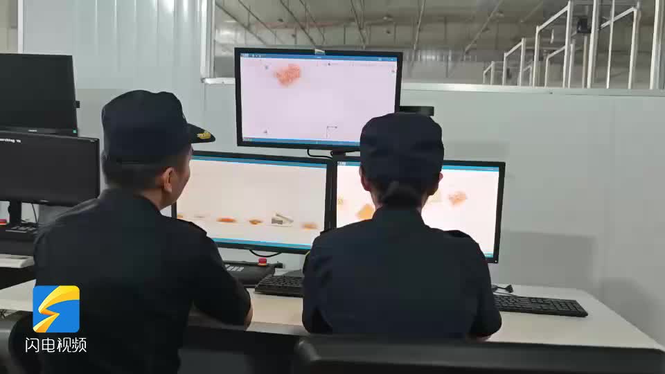 青島海關查獲“三無”減肥藥1680粒