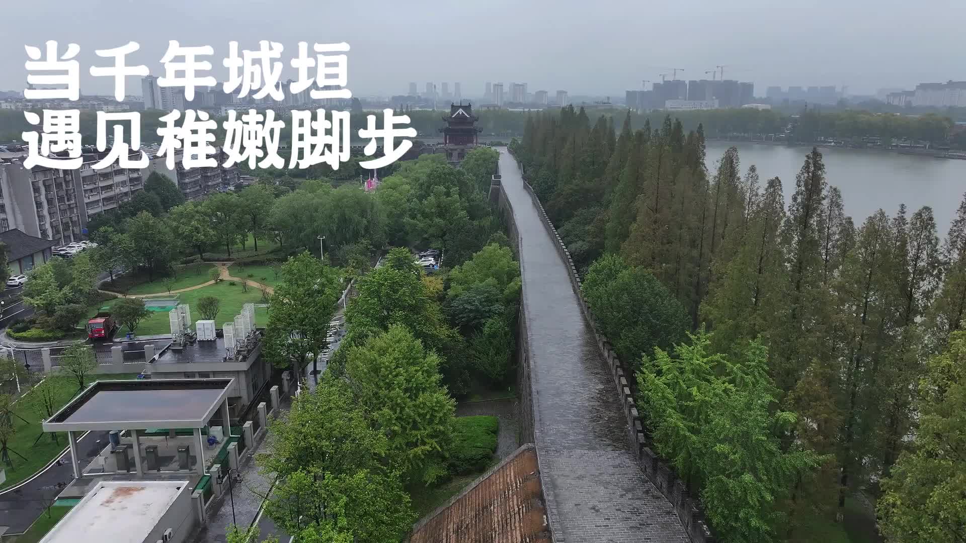 “护「城」长·「伊」路同行”城墙亲子运动会——襄阳站收官