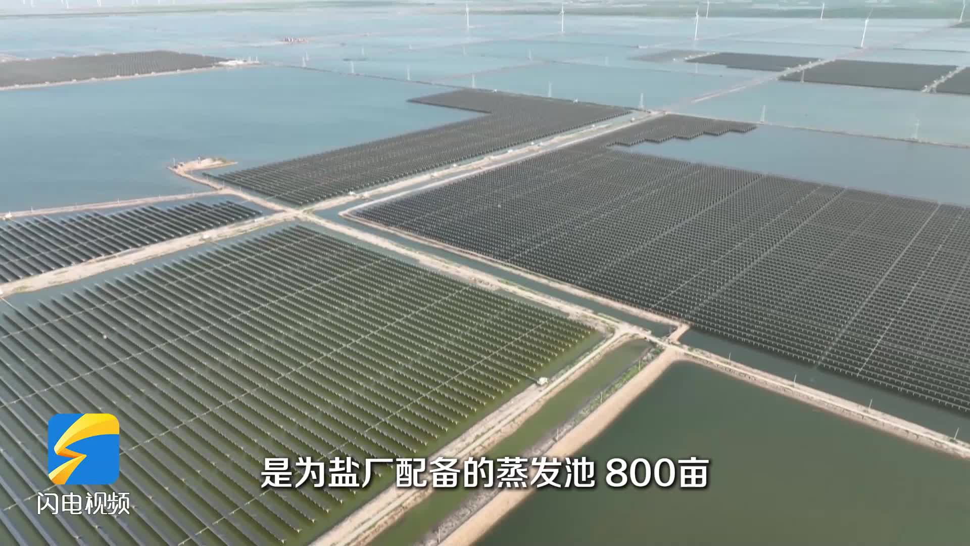 无棣“渔光互补”新模式 上发电下养虾实现效益双丰收