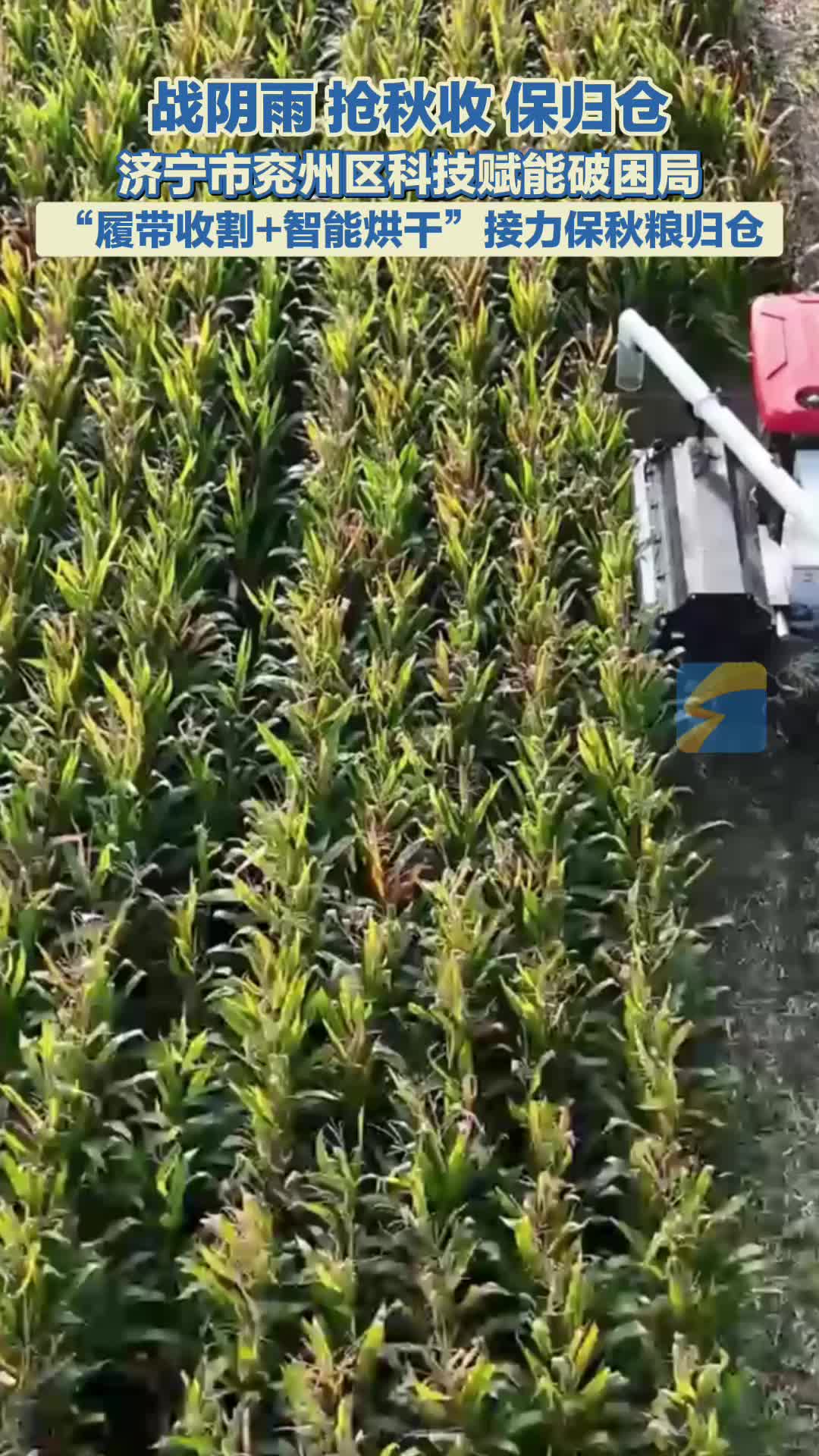 济宁兖州：“铁履带”攻坚泥泞  “一体化”作业保秋收