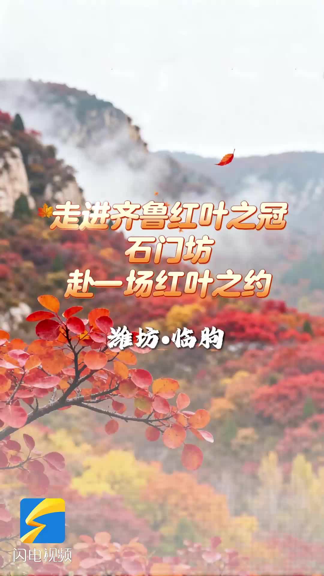 走进齐鲁红叶之冠—潍坊临朐石门坊 赴一场红叶之约