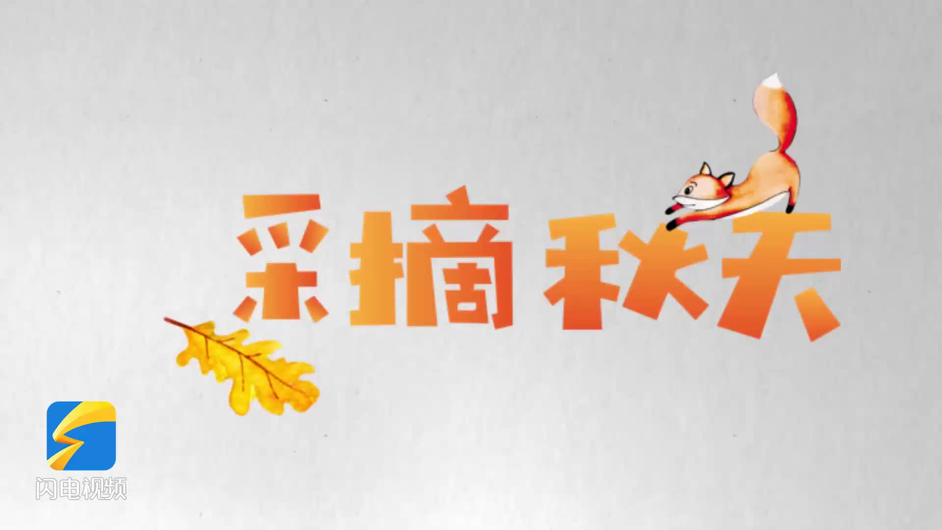 青岛城阳：冬枣迎来丰收季 亲子采摘乐享田园时光