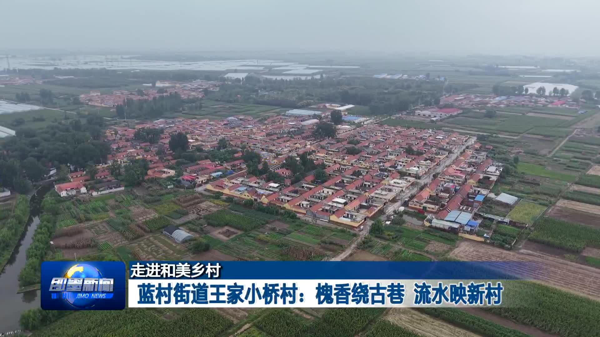 瓜茄　鶯字第一　奥村伊九良　中国美術 瓜茄 鶯字第一 奥村伊九良 中国美術