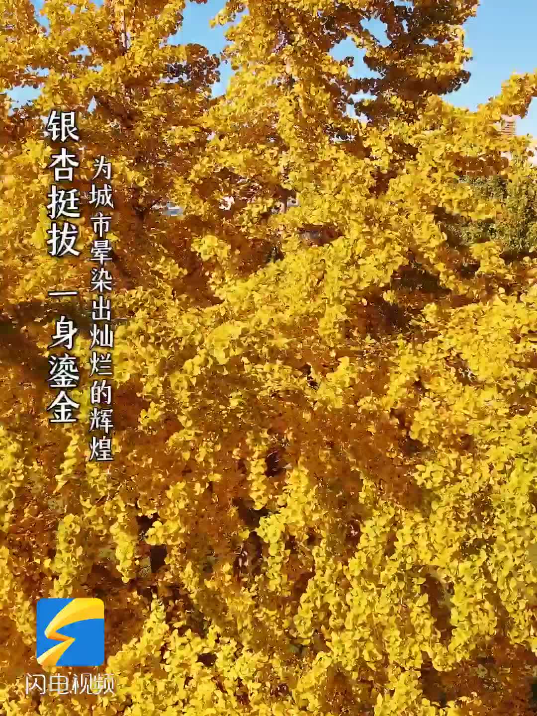 总投资5000万元 三文鱼种苗繁育基地项目在潍坊临朐嵩山签约奠基