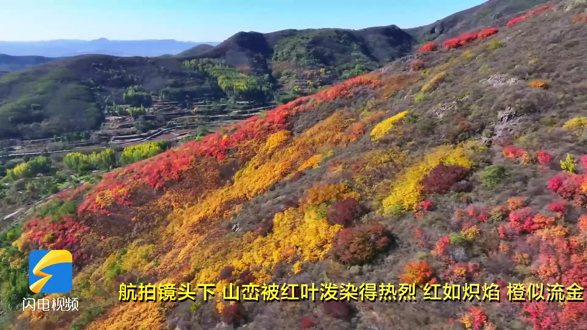 邹平:深秋红叶漫山 层林尽染绘就“立体秋色谱”