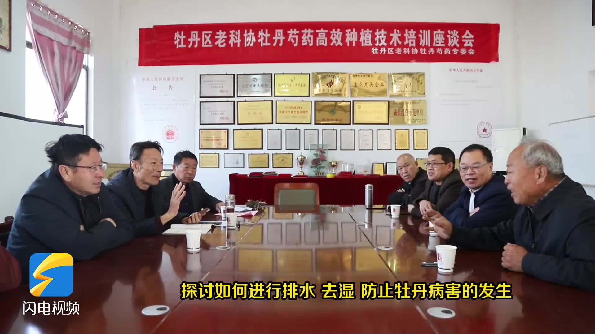 土壤含水量大,如何科学栽植怕涝的牡丹芍药?菏泽牡丹区举行牡丹芍药高效种植技术培训座谈会出点子