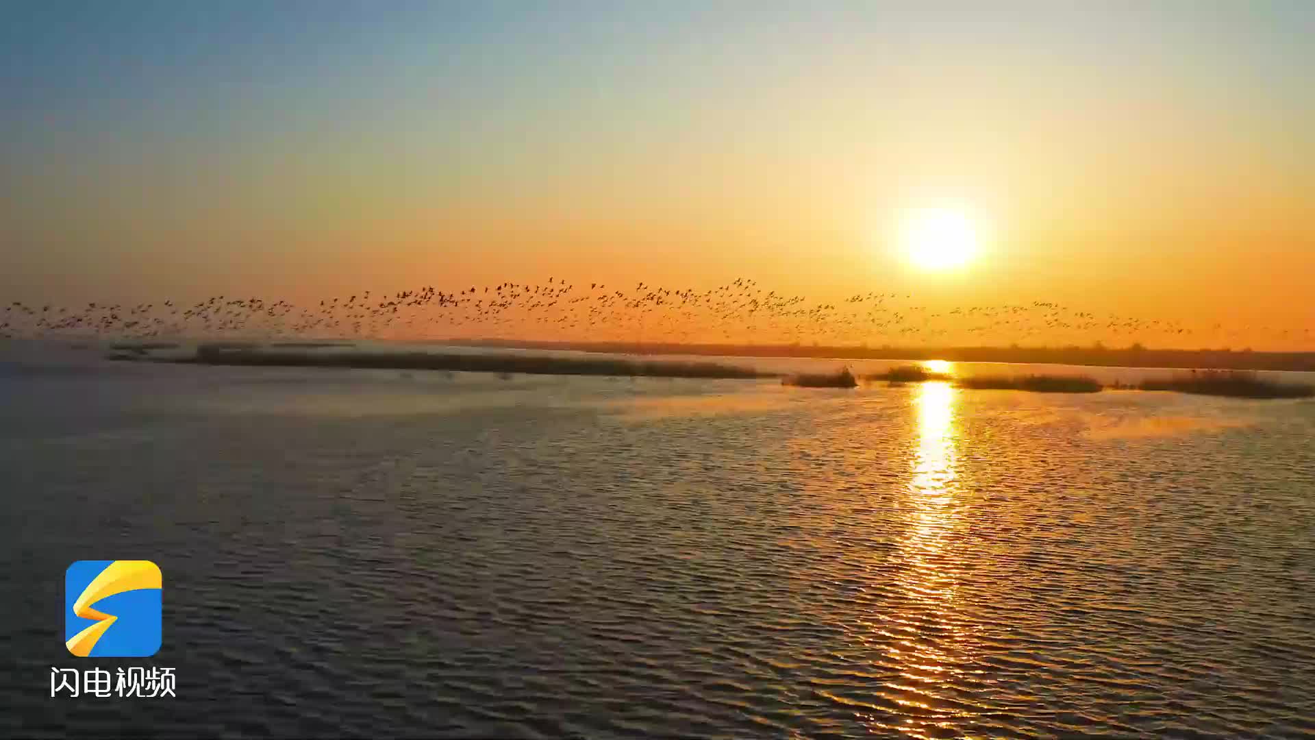 初冬黄三角：芦花飞雪处，探寻鸟浪的浪漫密码
