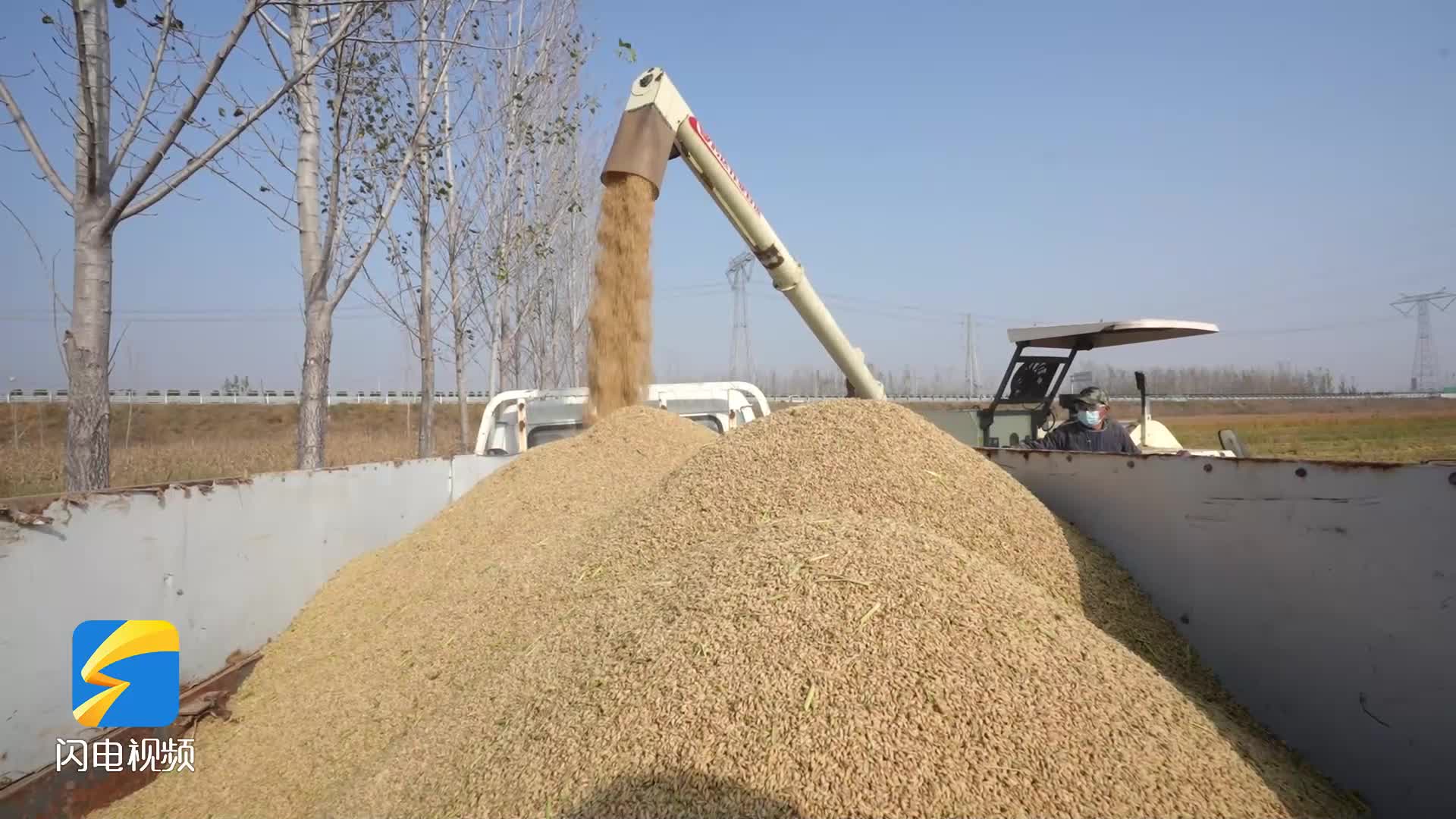 滨州疾控支招：“及时更新