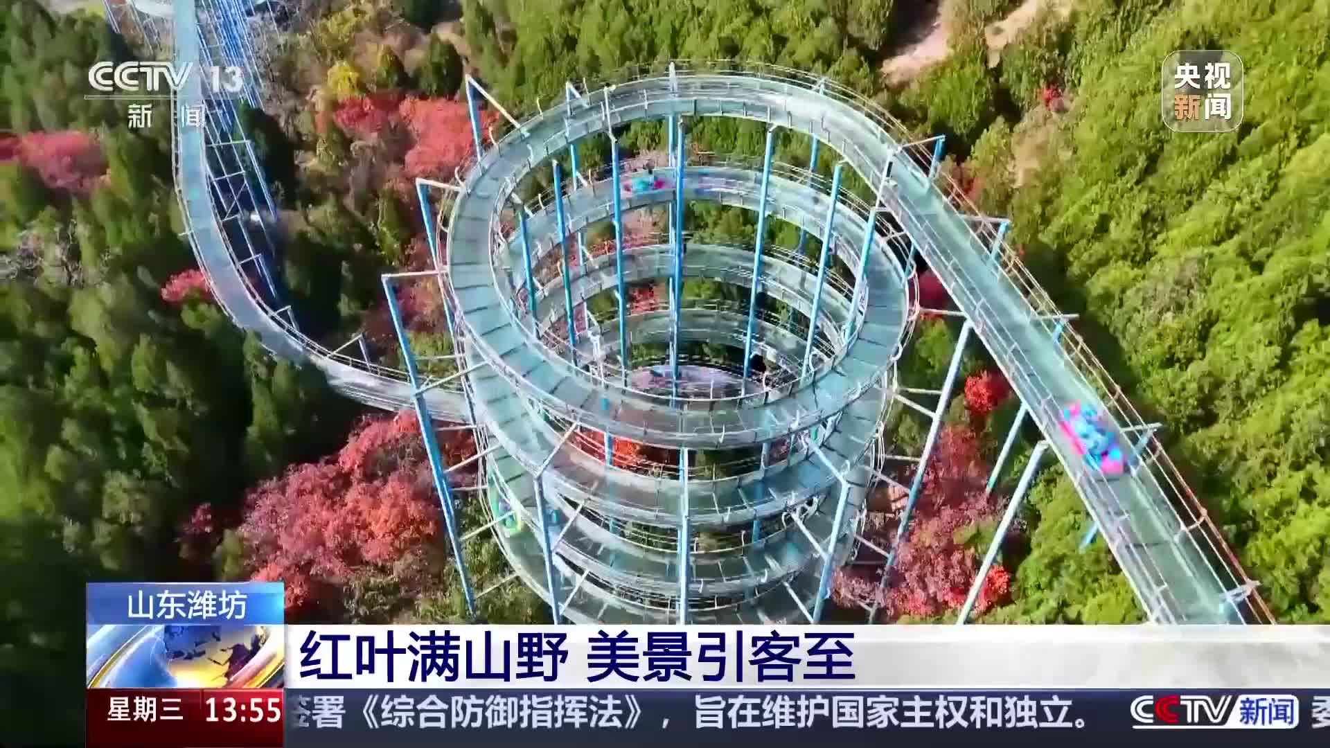 央视《新闻直播间》关注山东潍坊：红叶满山野 美景引客至