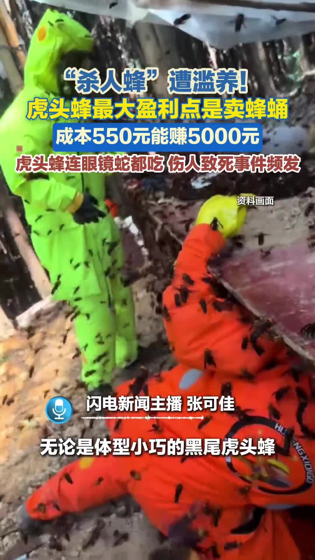 主播评丨  6666元学养“杀人蜂”   经济利益不能凌驾于公共安全之上