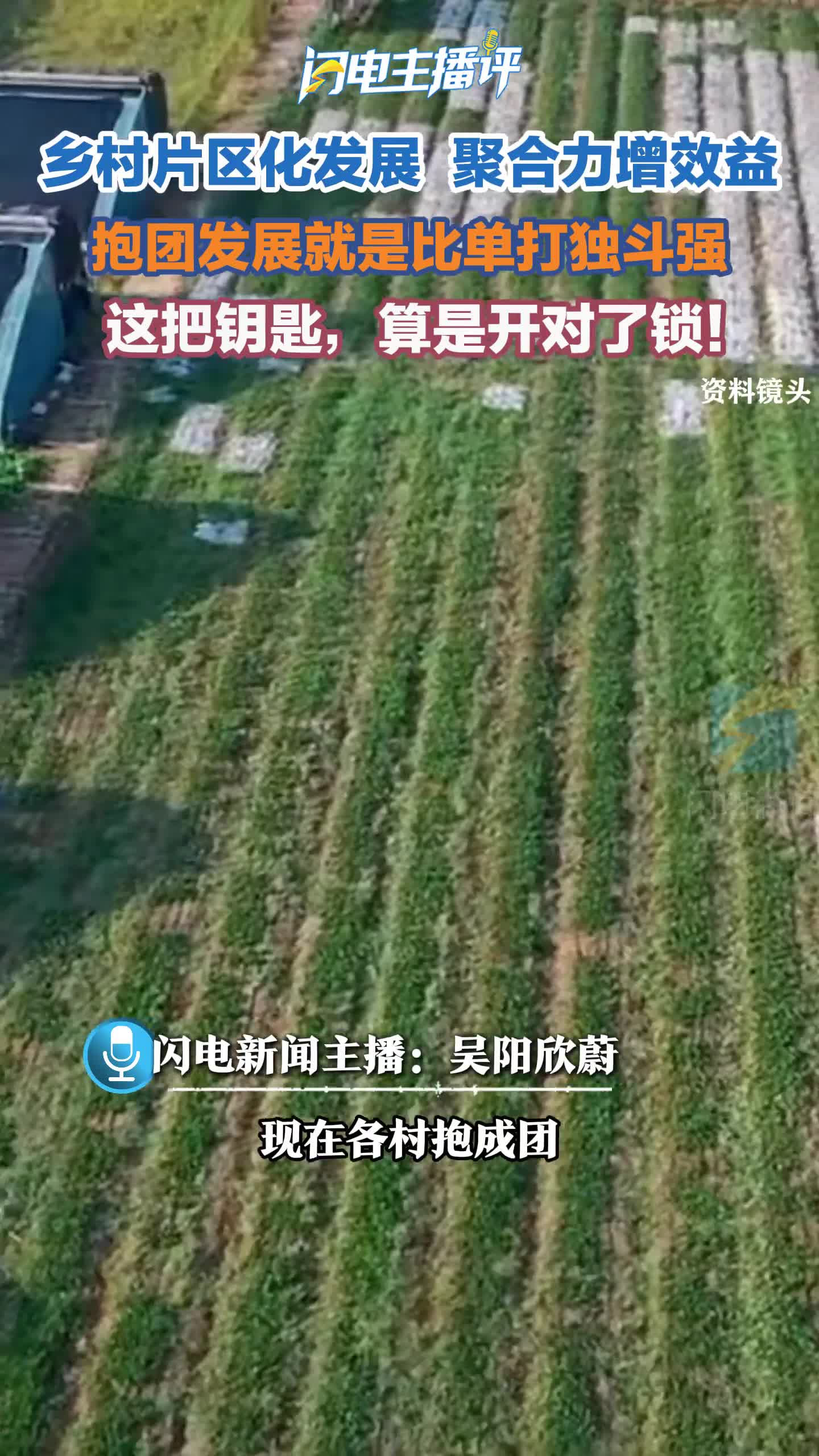 闪电三连评 | 片区化推进乡村振兴的山东实践