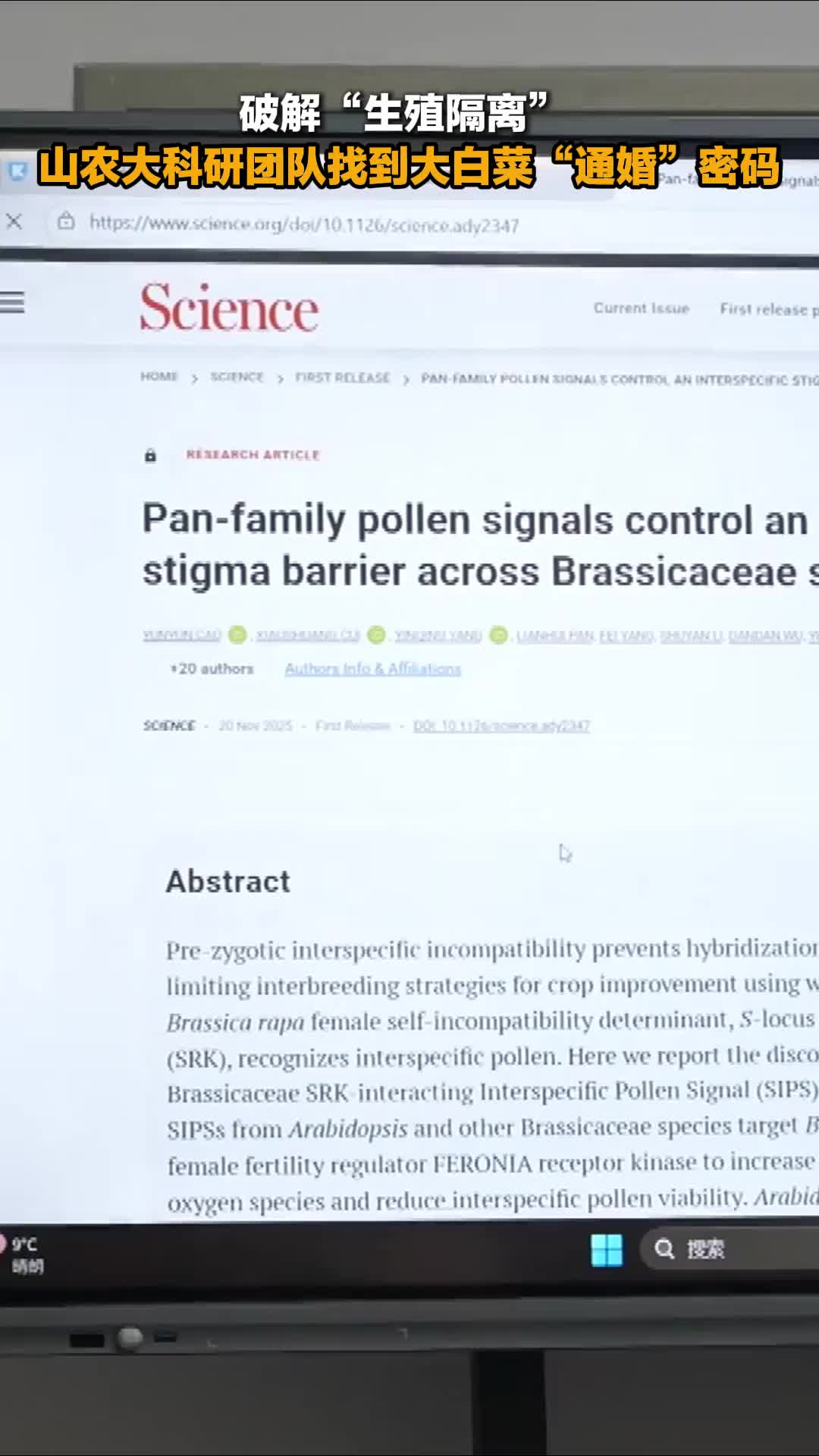 破解“生殖隔离” 山农大科研团队找到大白菜“通婚”密码
