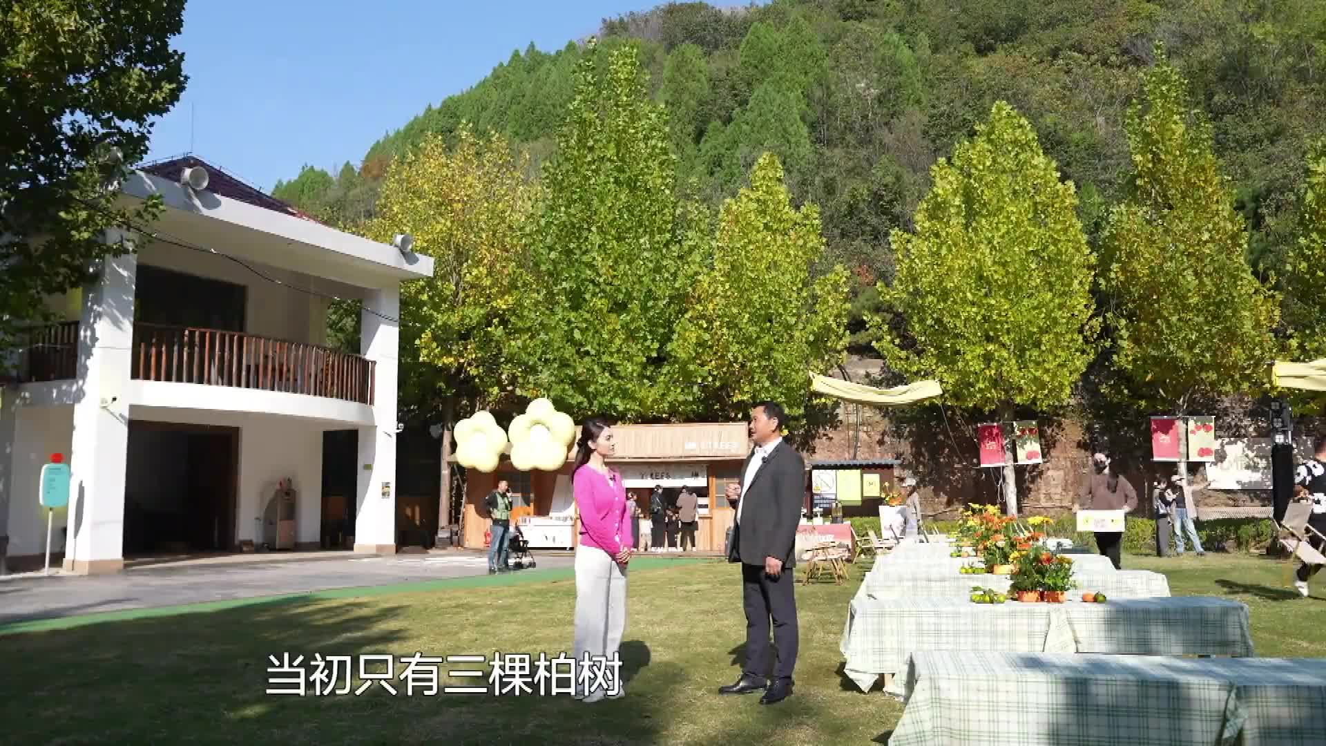 济南芦南村：从“瘌痢头”到“网红村”的绿色逆袭