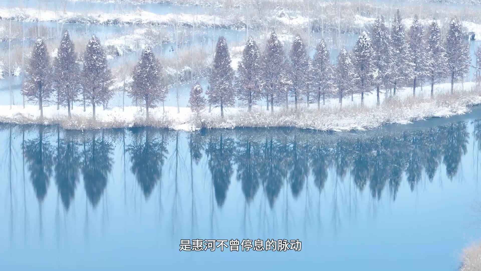 影视类：铜奖作品《湿地的脉动》