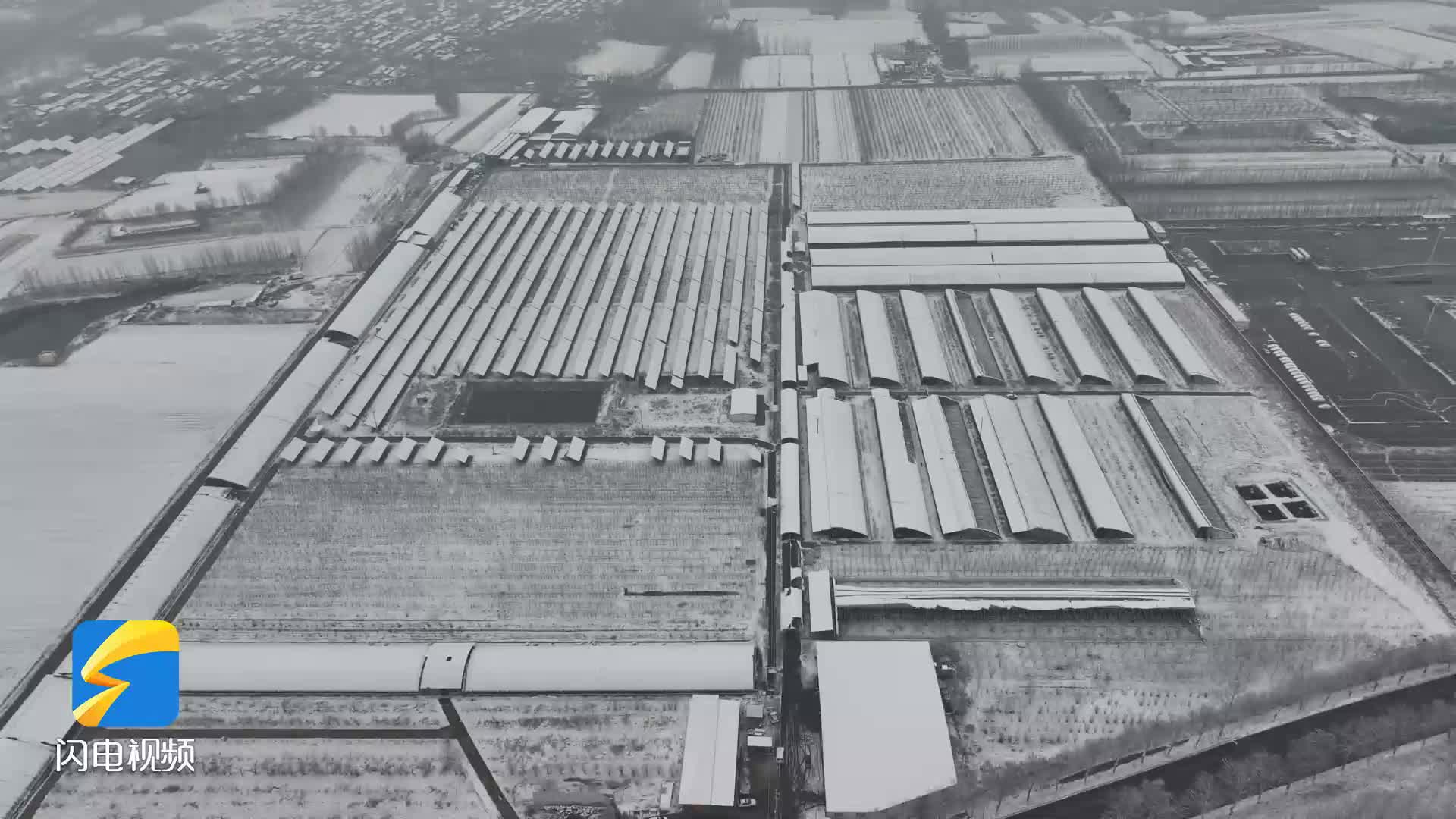 降雪寒潮来袭 莱西市农技人员下乡护航农业生产