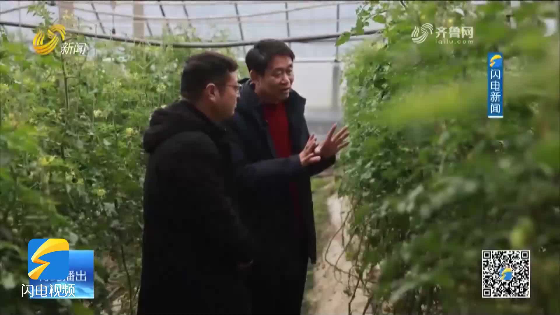 潍坊：冬季农事忙 大棚好“丰”景