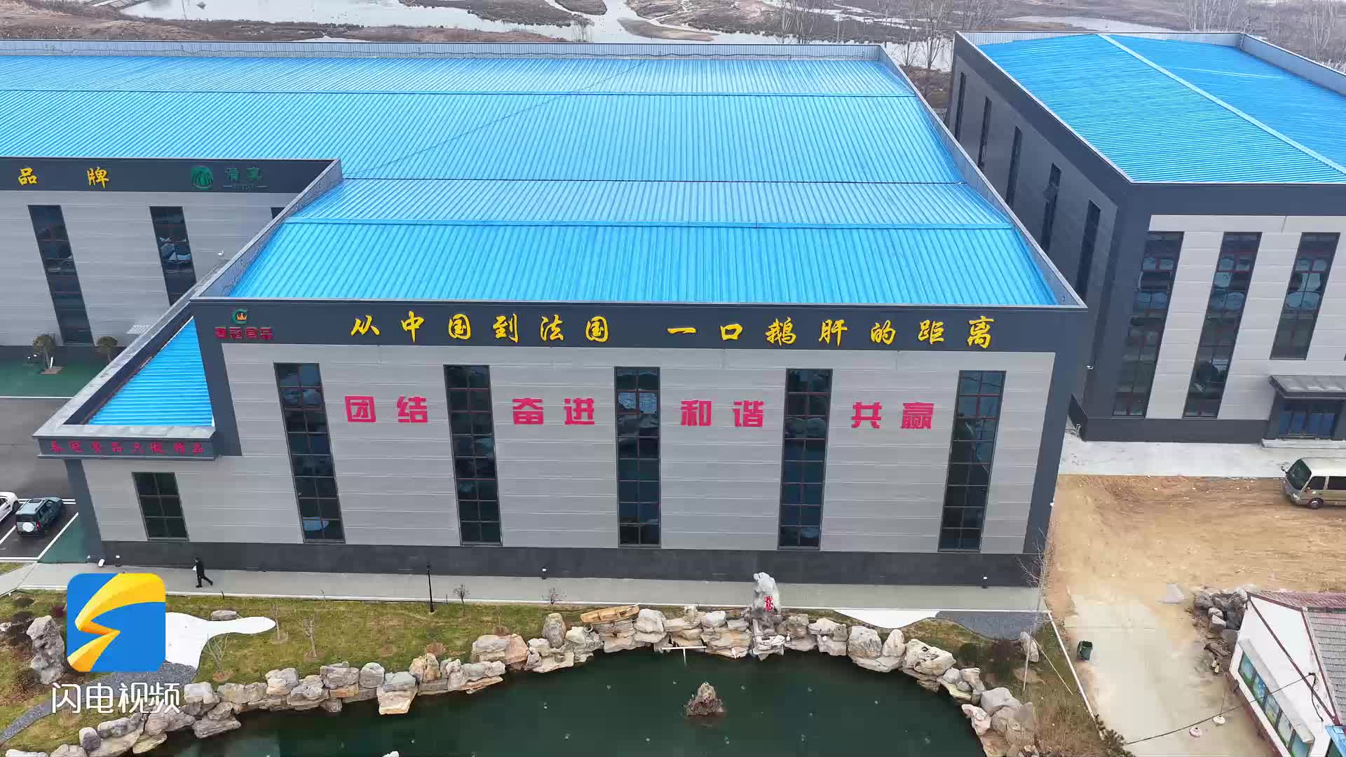 订单排到三月份 临朐鹅肥肝迎来“开门红”