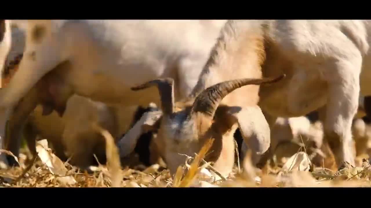 2024年度公益广告创新创意大赛影视类银奖获奖作品：《寻找古村的乡愁》