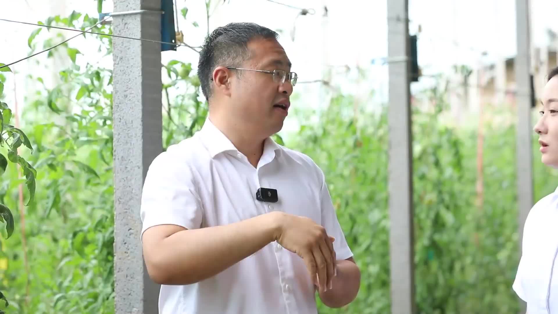 2024年度公益广告创新创意大赛影视类铜奖获奖作品：《大国农匠梁其安》