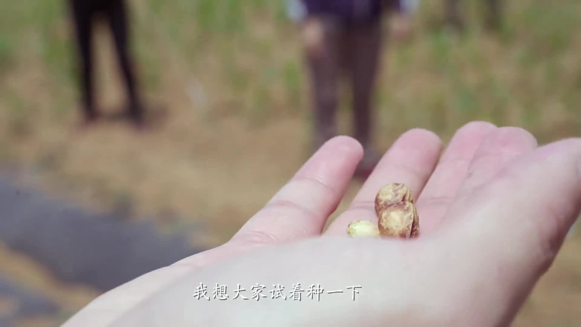 2024年度公益广告创新创意大赛影视类铜奖获奖作品：《三代人》