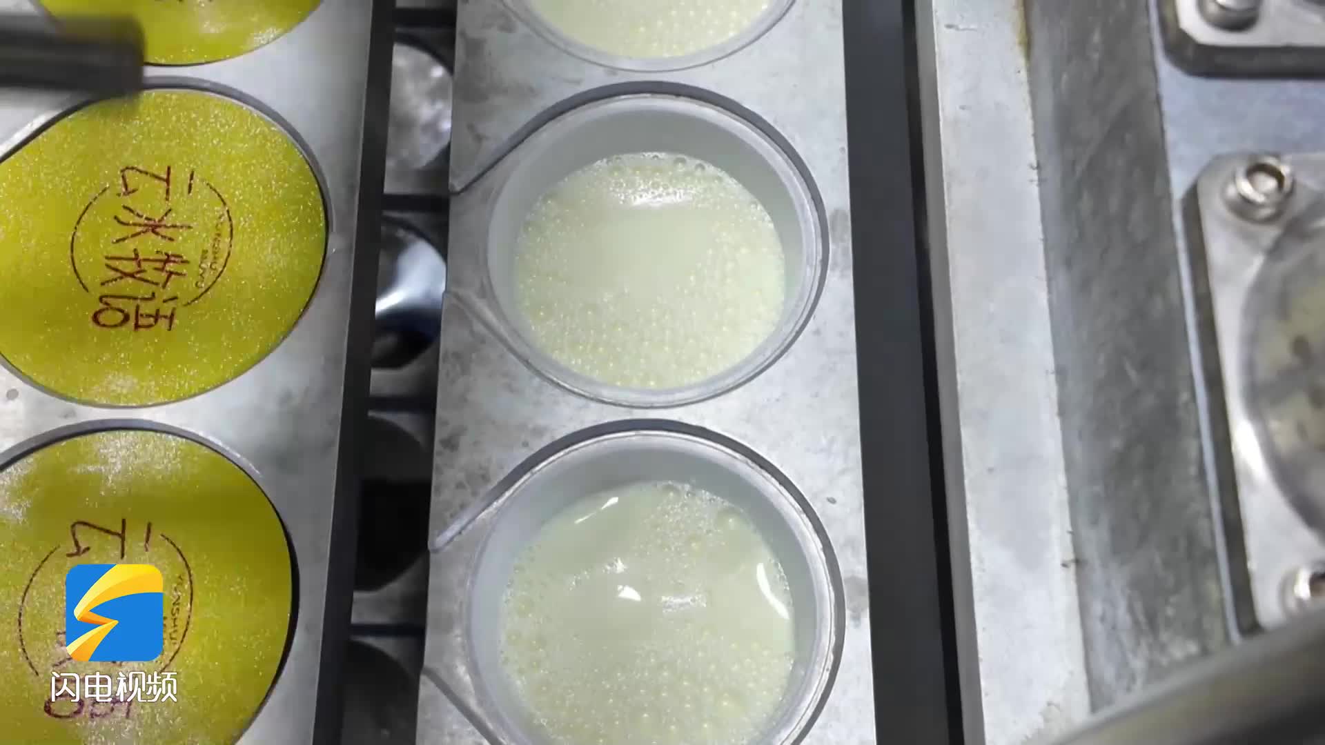 聚焦2026滨州两会|市人大代表薛志强:从“卖原料”到“卖产品” 利润翻三番