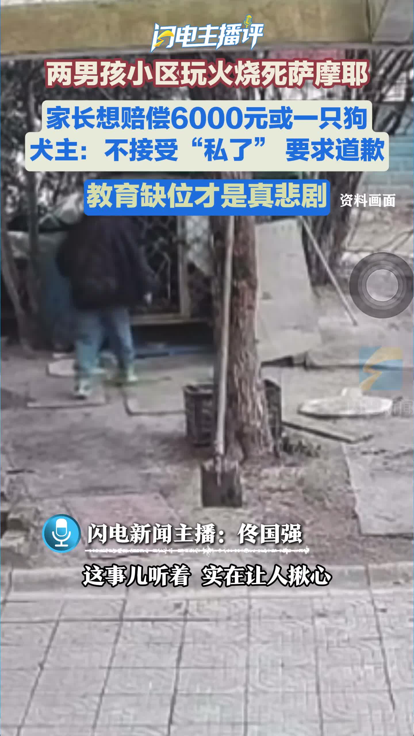 闪电主播评丨男孩烧死萨摩耶，教育缺位才是真悲剧