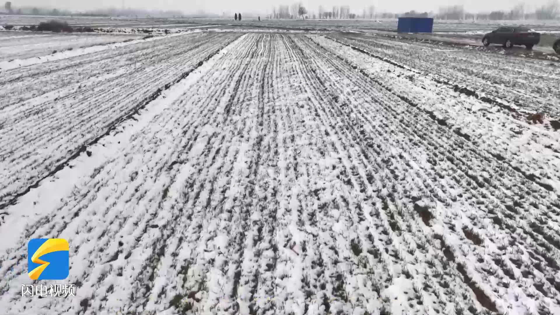 滨州阳信：无人机“慧”春管 58.7万亩小麦“吃”上返青肥