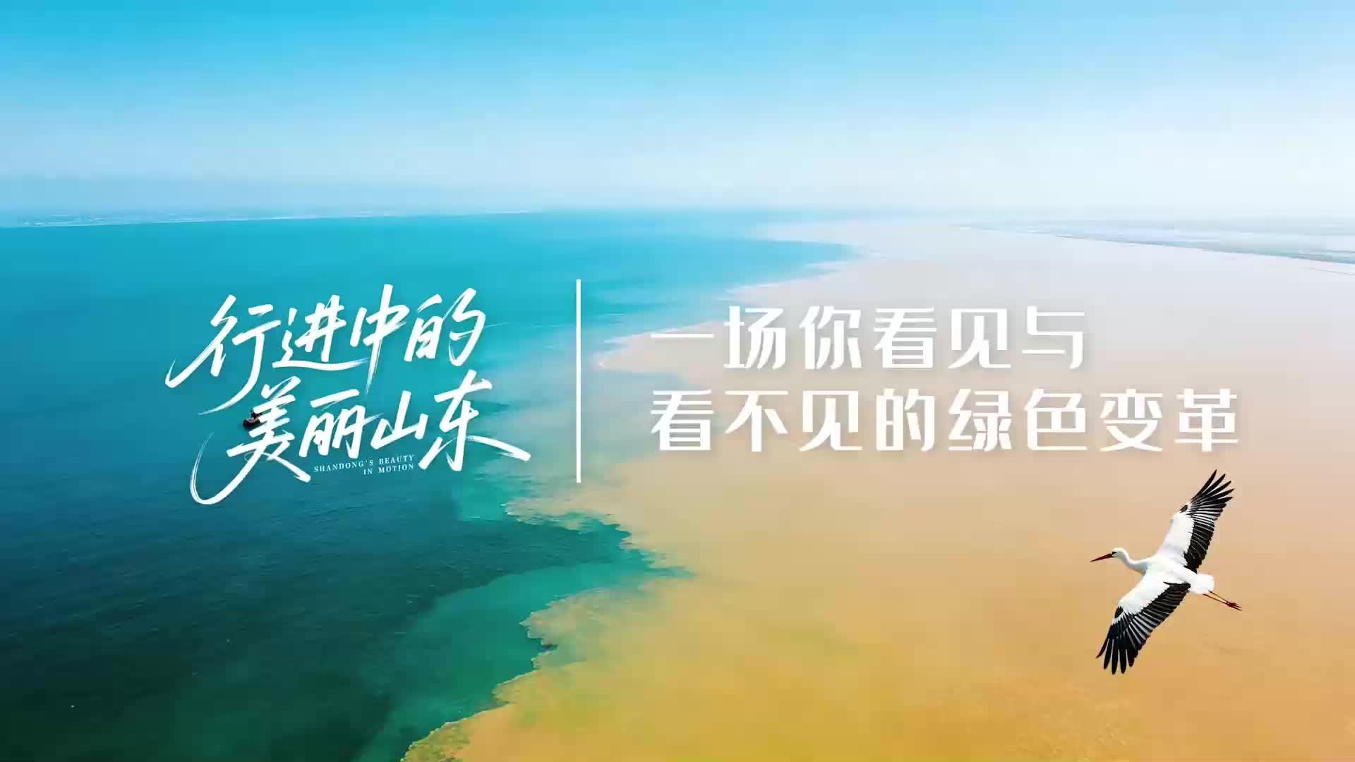 满屏精品气象新！山东台荧屏亮点纷呈 两部纪录片将首播