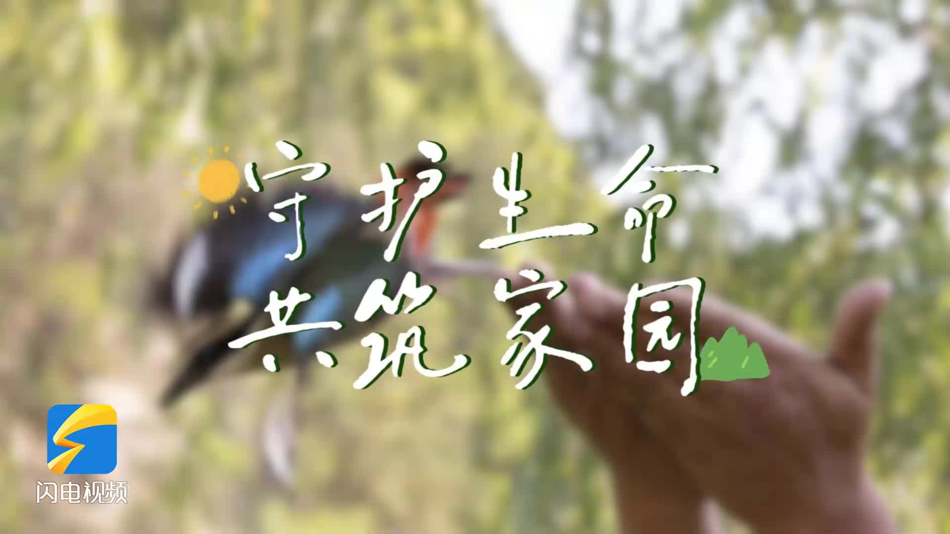 【守护生命 共筑家园】青州：救助受伤红隼，为迁徙候鸟筑牢“温暖驿站”