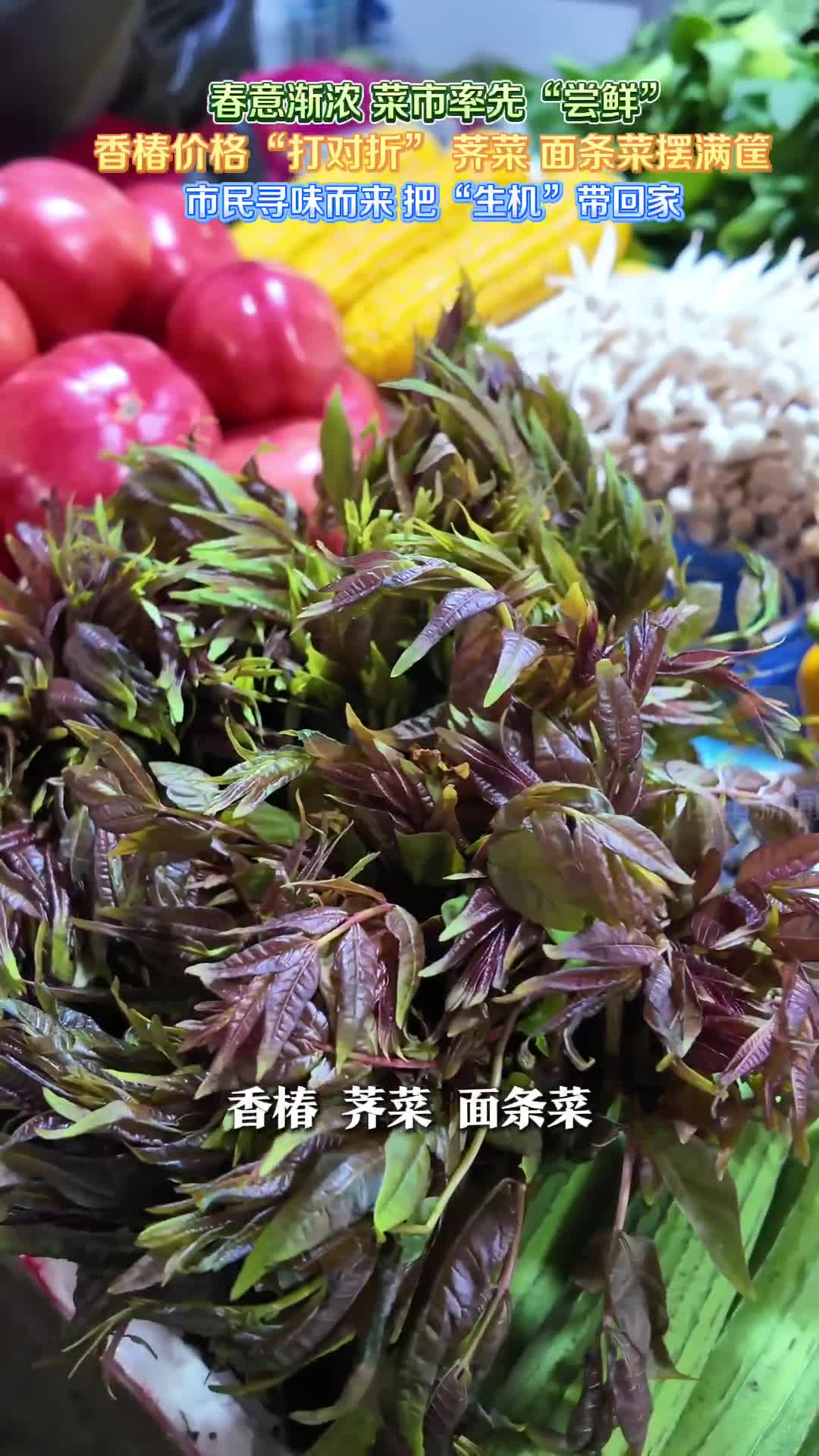 寻鲜春天里——菜市场里的“春日一口鲜”