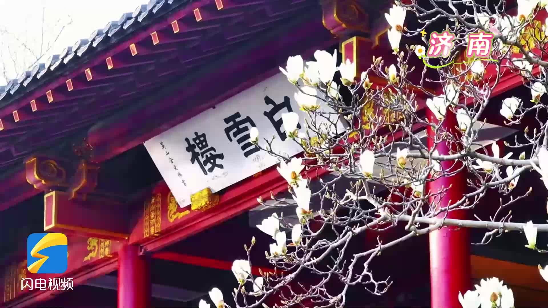 山东的春天 藏在这些花海里