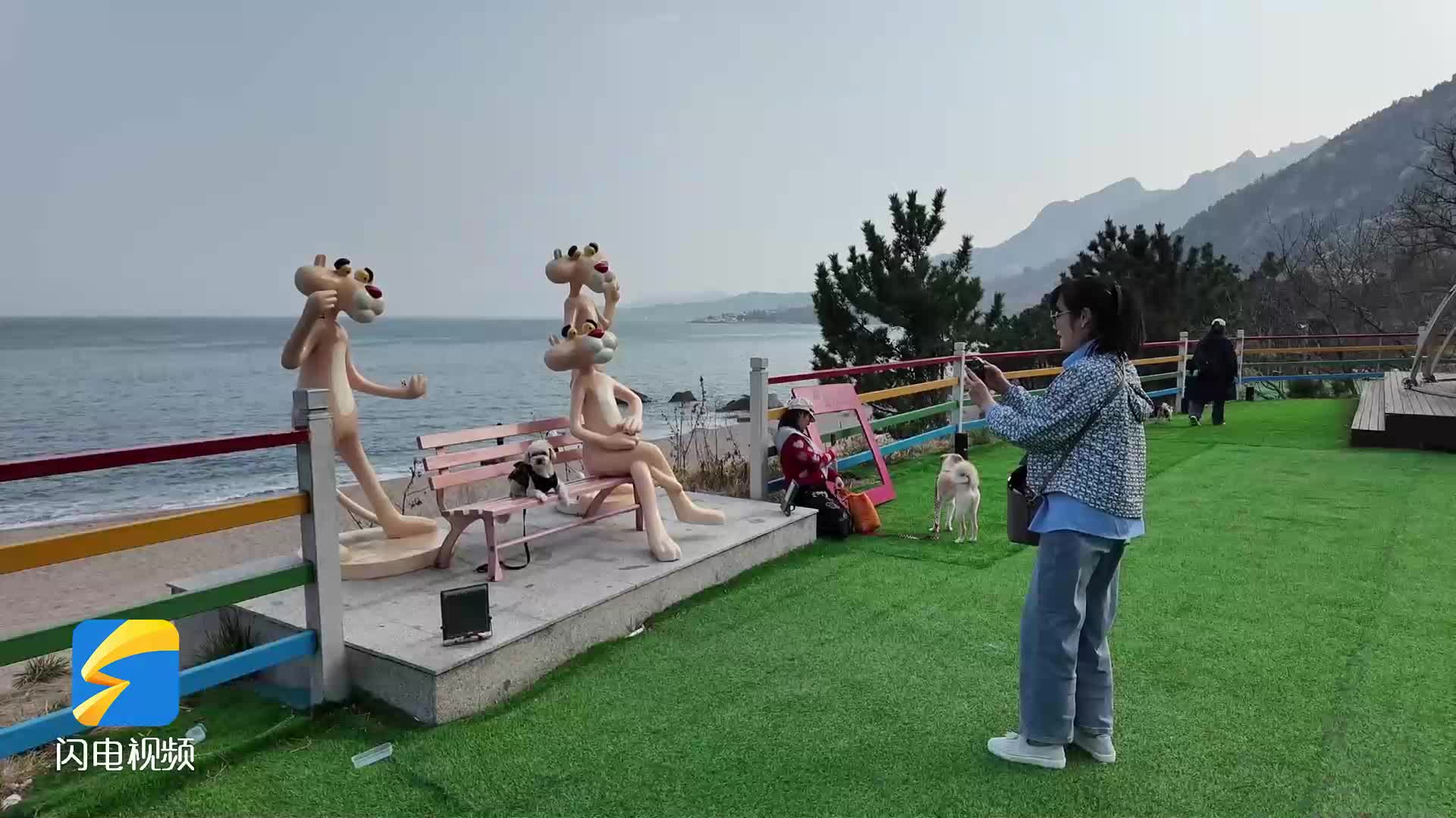 萌宠跨海而来！首批韩国携宠入境游客打卡青岛