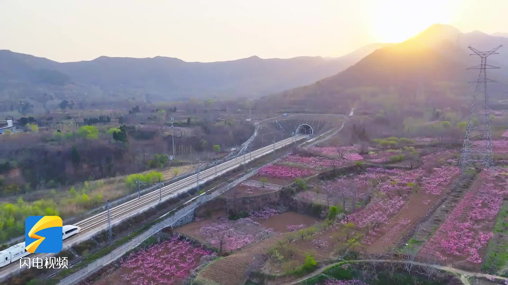 这列高铁直接开进了花海里：邹平西董春日限定 窗外风景绝了