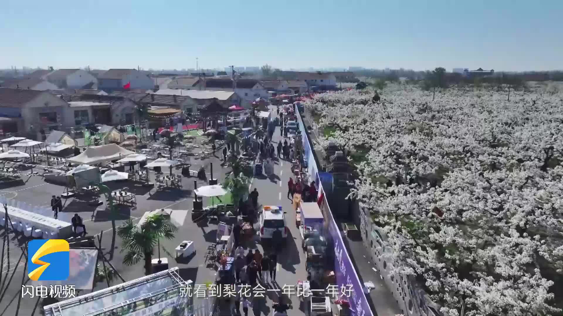 三十七载梨花会｜阳信“花式”引客来 文旅融合擦亮“梨乡”金字招牌