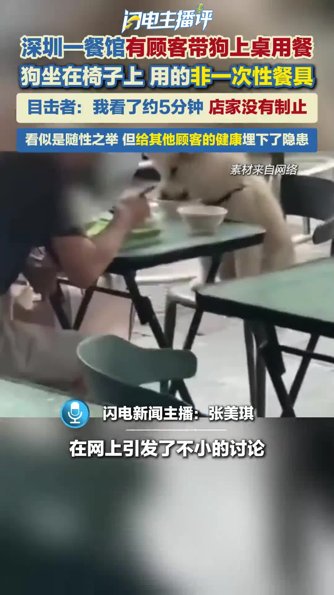 闪电主播评丨深圳顾客带狗上餐桌用餐引争议 别让爱宠逾越公共安全红线