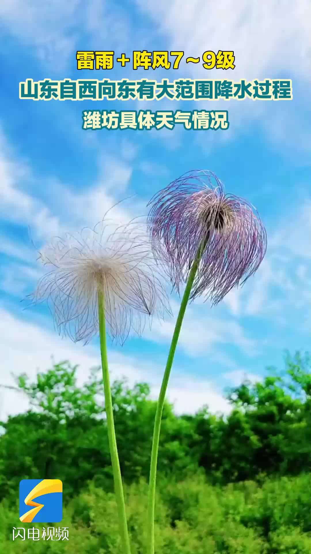 潍坊未来三天晴转多云 17日部分地区有小雨