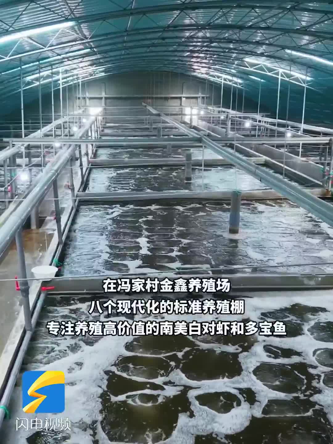 潍坊昌邑：“虾兵鱼将”游出致富路