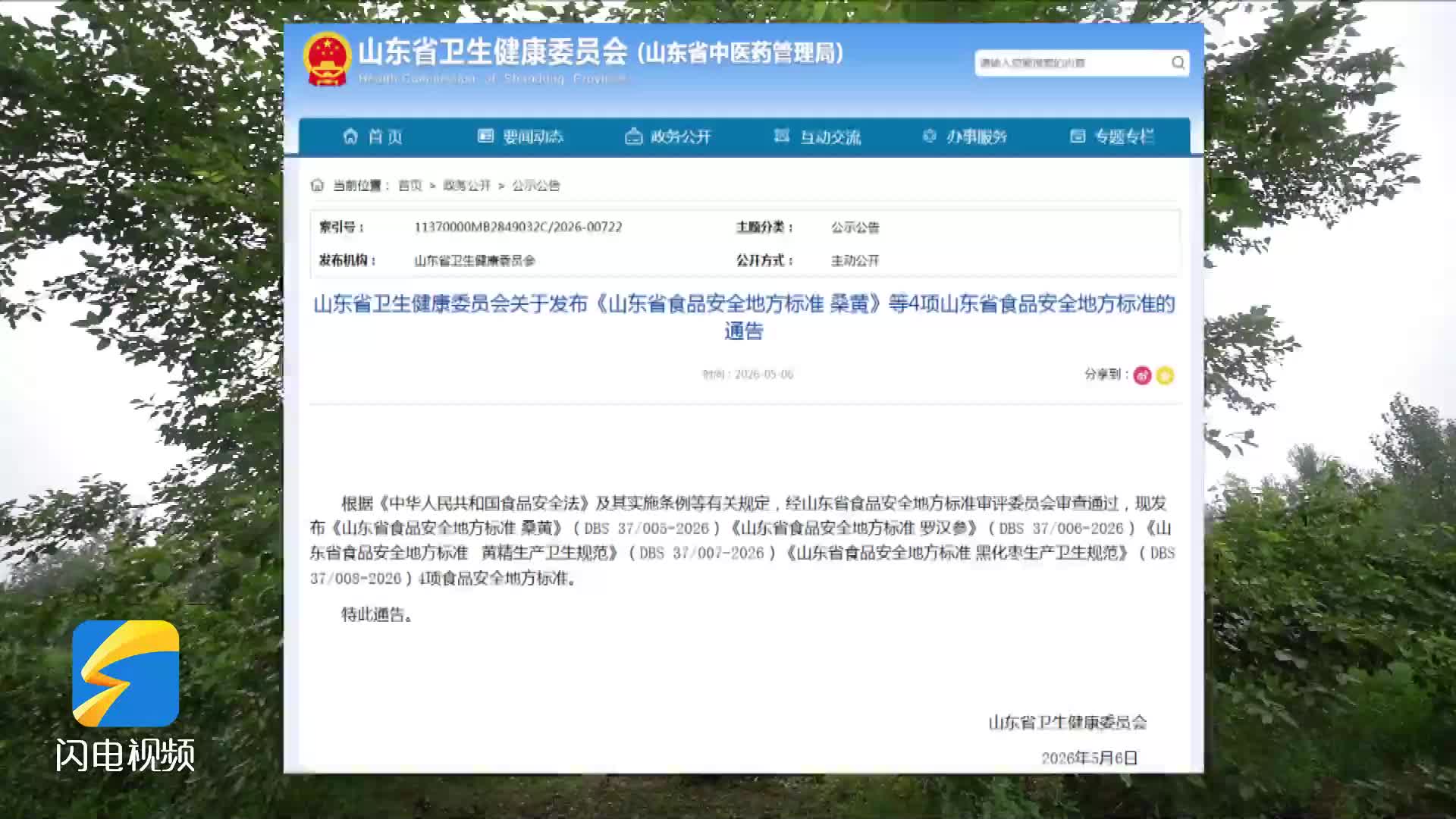 古桑孕育“黄金”标准赋能产业——山东桑黄产业迎来发展新机遇