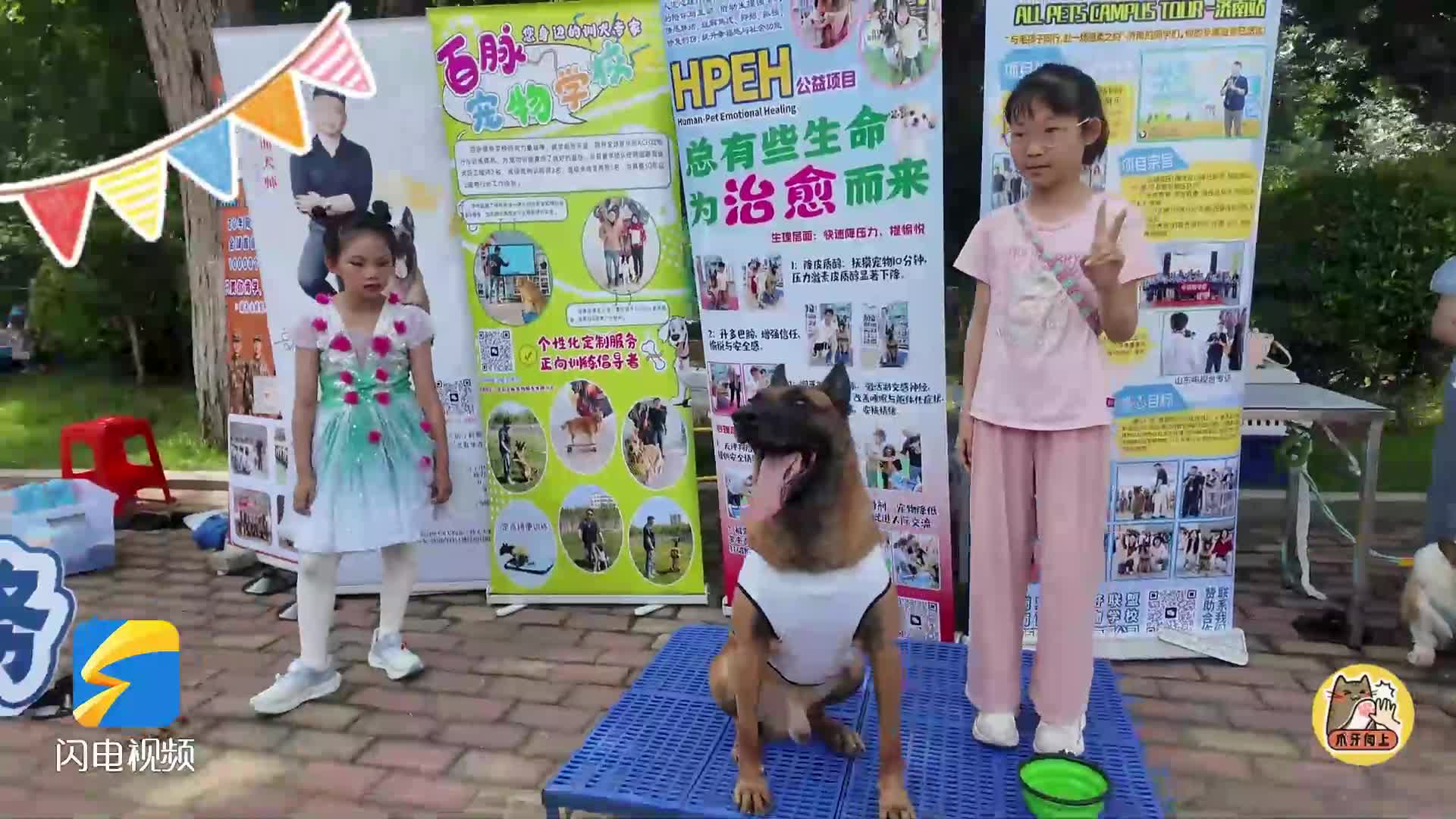爪牙向上｜解锁六一快乐！和毛孩子赴一场温柔成长之约