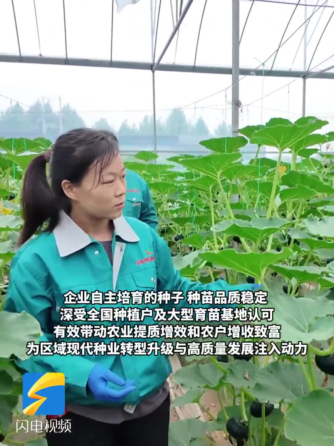 潍坊昌邑:深耕种业强根基 自主创新促振兴