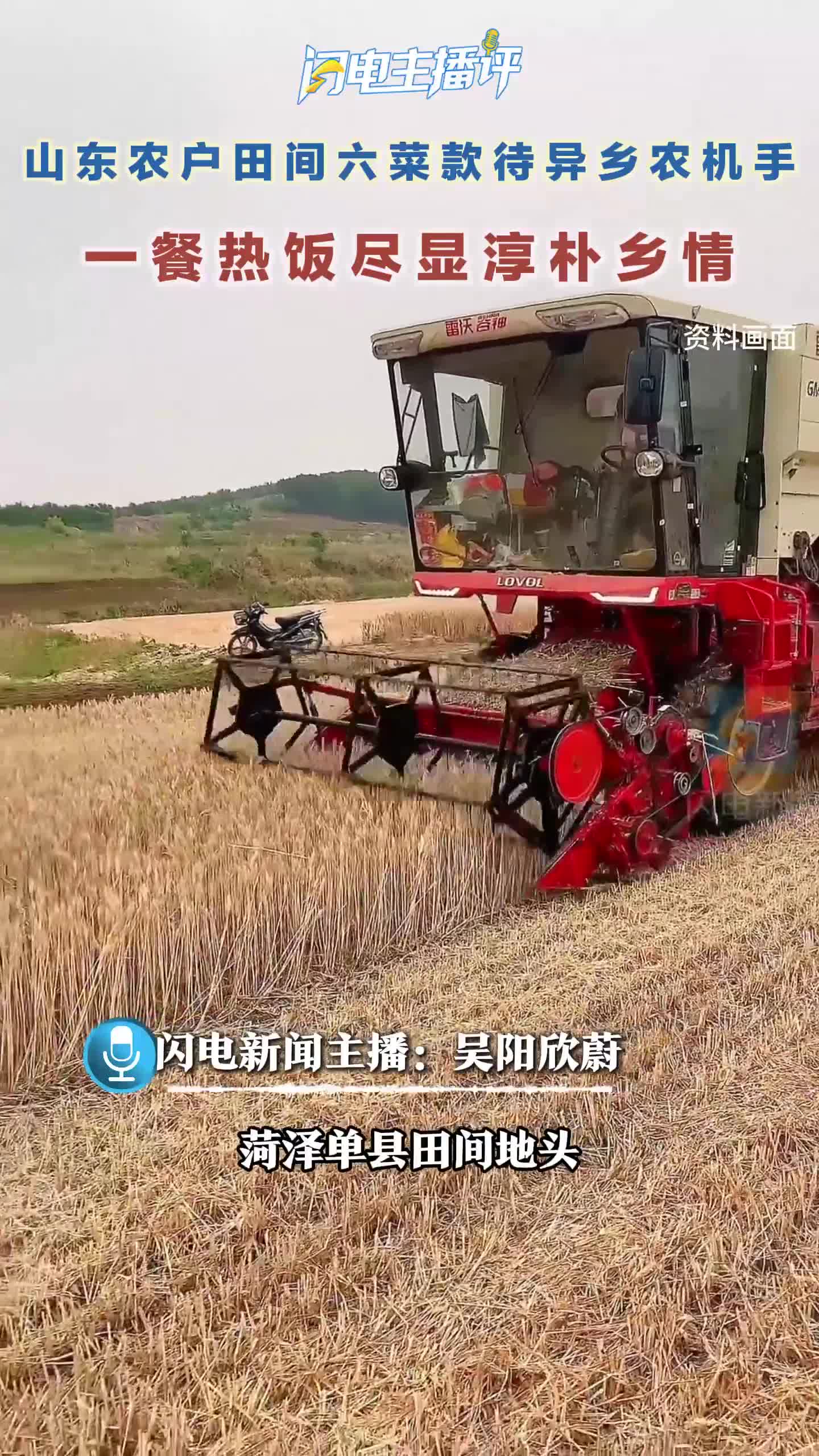 闪电主播评丨山东农户田间六菜款待异乡农机手，一餐热饭尽显淳朴乡情