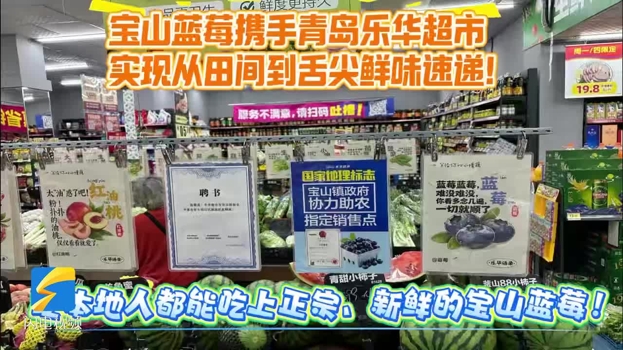 青岛宝山蓝莓携手青岛乐华超市 实现从田间到舌尖鲜味速递