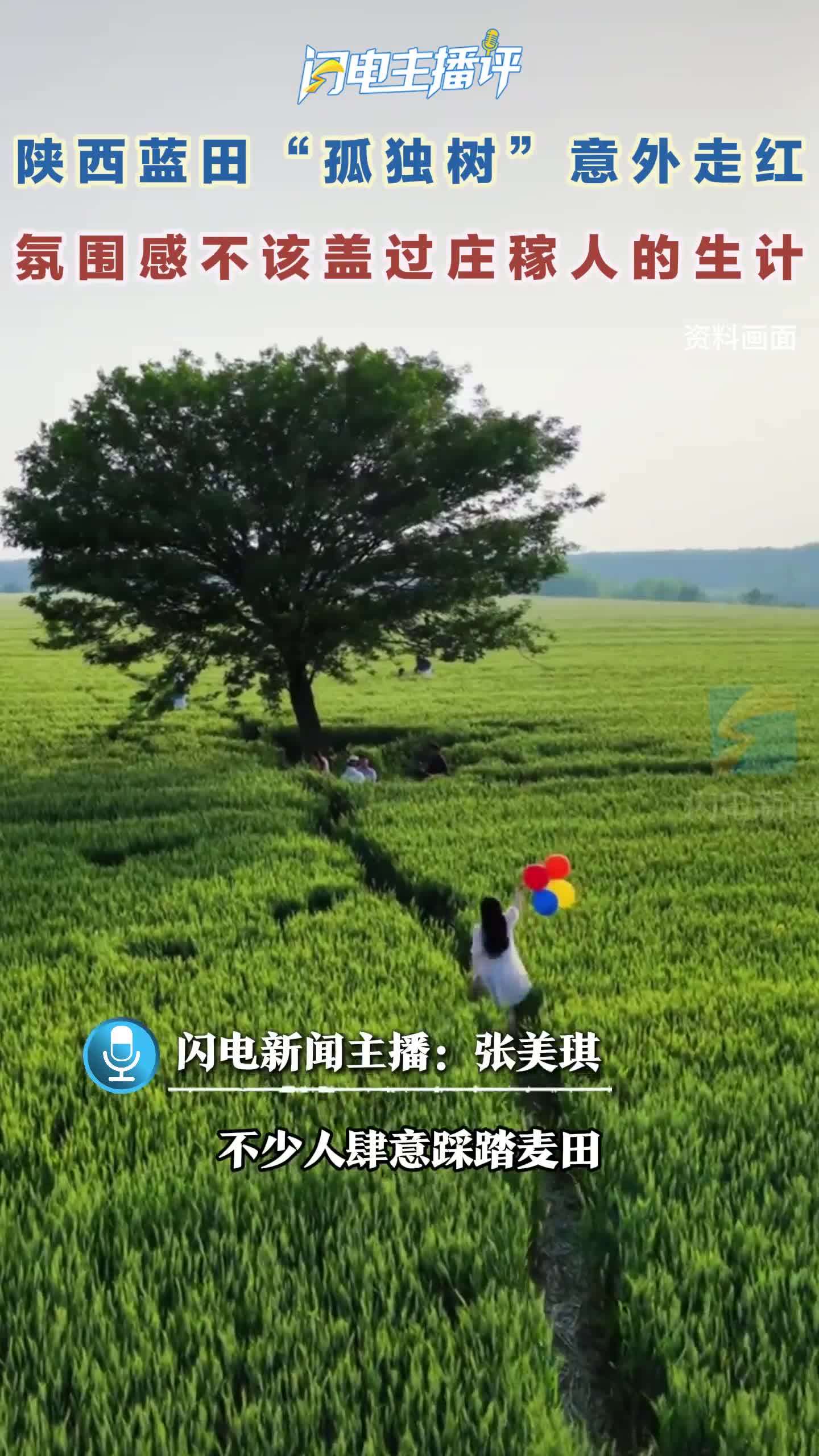 闪电主播评丨陕西蓝田“孤独树”意外走红 氛围感不该盖过庄稼人的生计