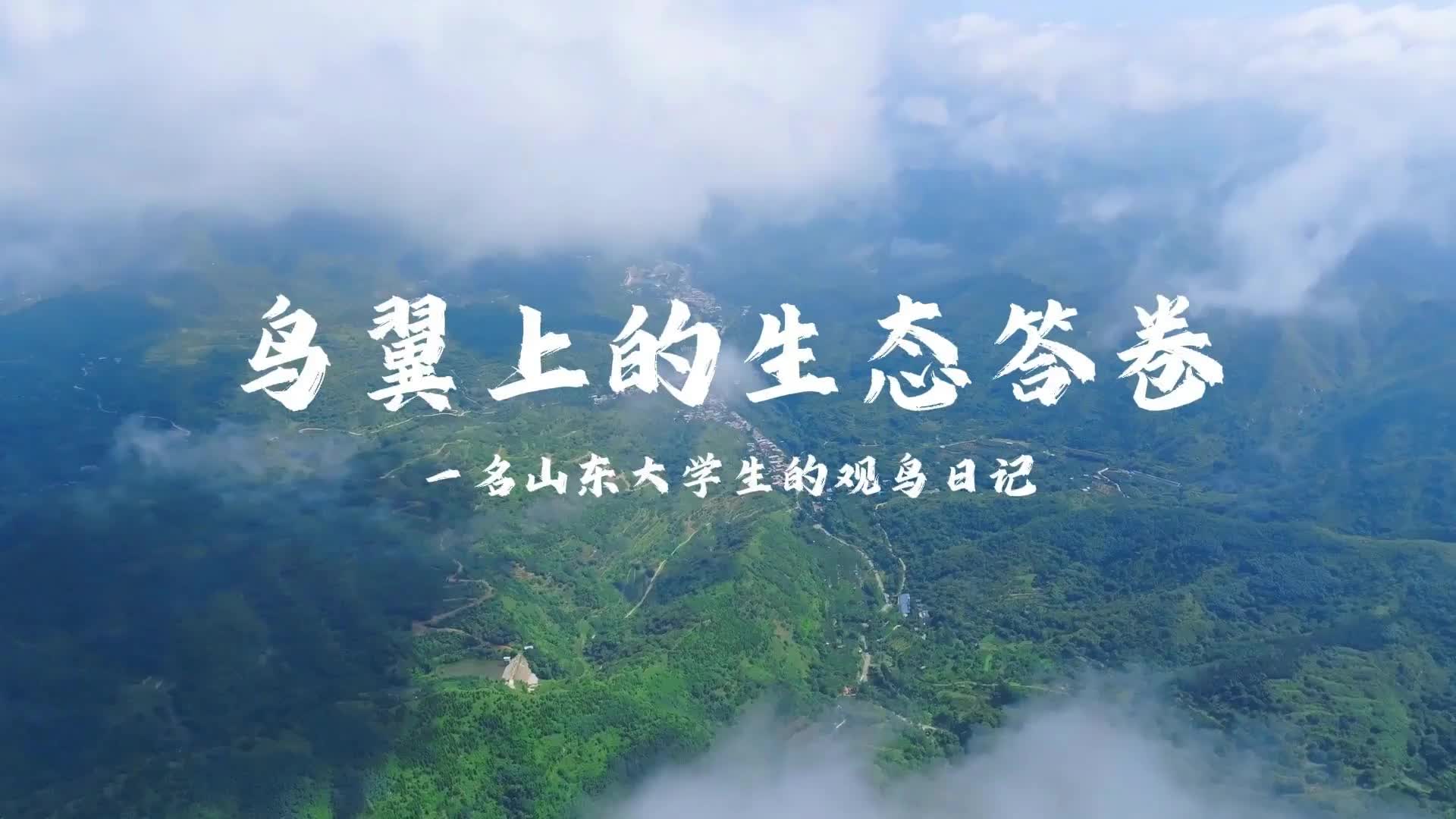 鸟翼上的生态答卷：一名大学生的观鸟日记