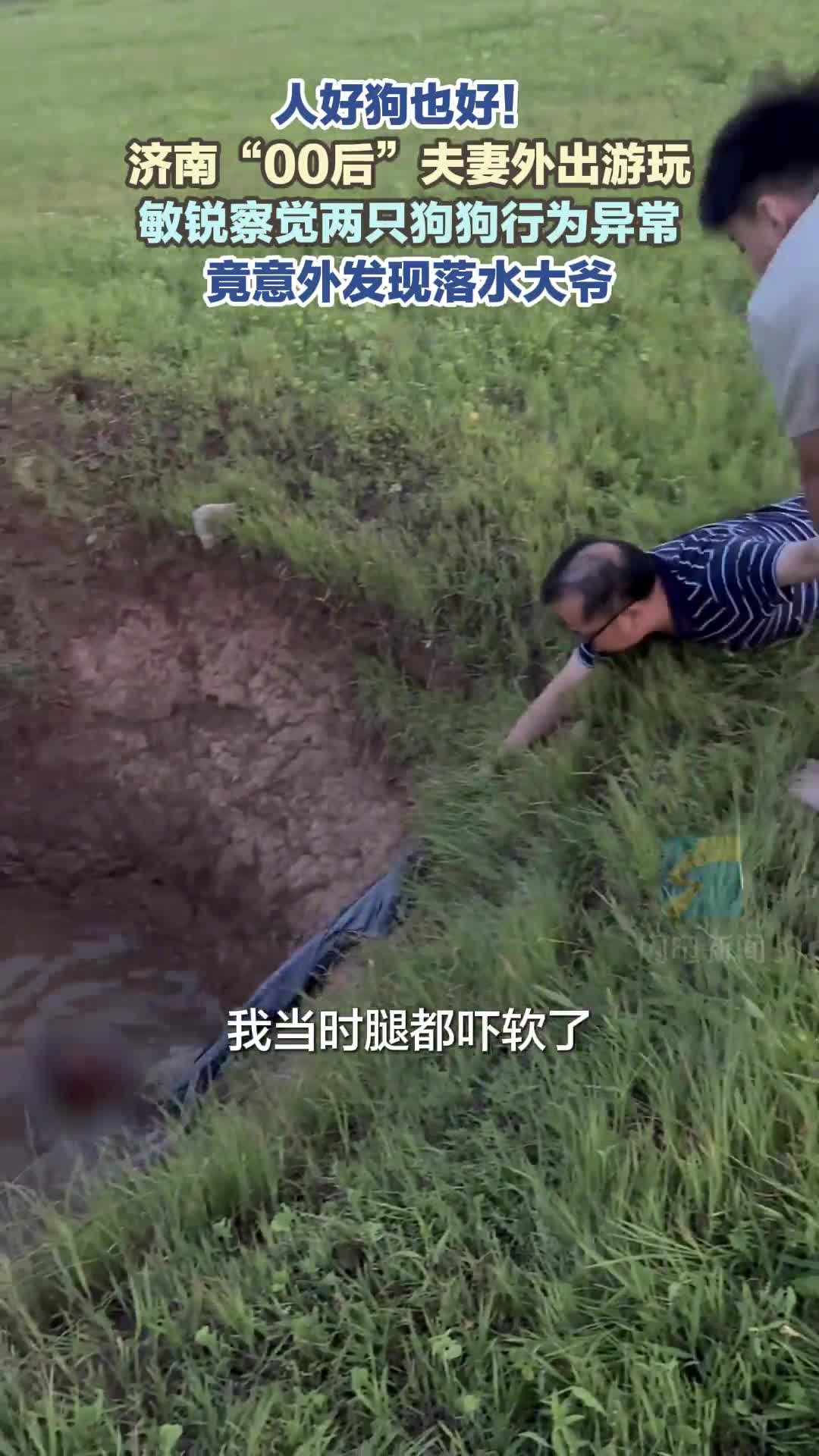人好狗也好!济南“00后”夫妻外出游玩 敏锐察觉两只狗狗行为异常 竟意外发现落水大爷