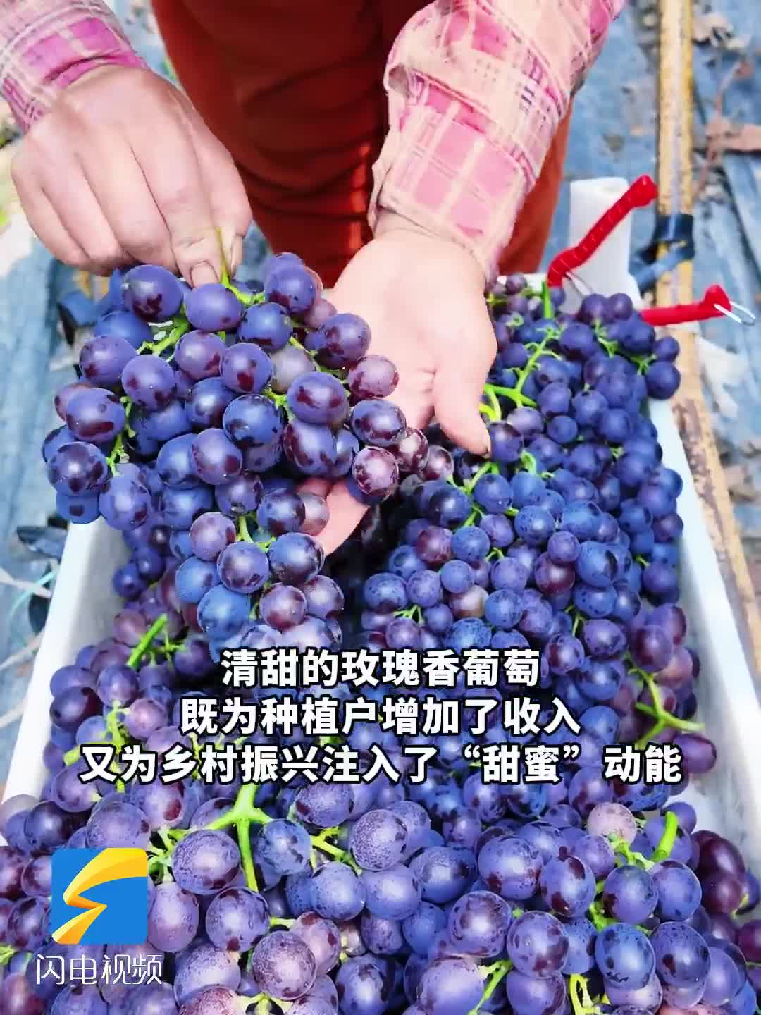 潍坊昌邑：土特产有了“金字招牌”
