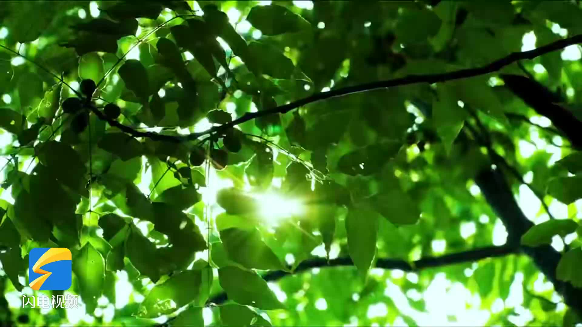 济南燕子山脚下，有两个“闲不住”的老兵