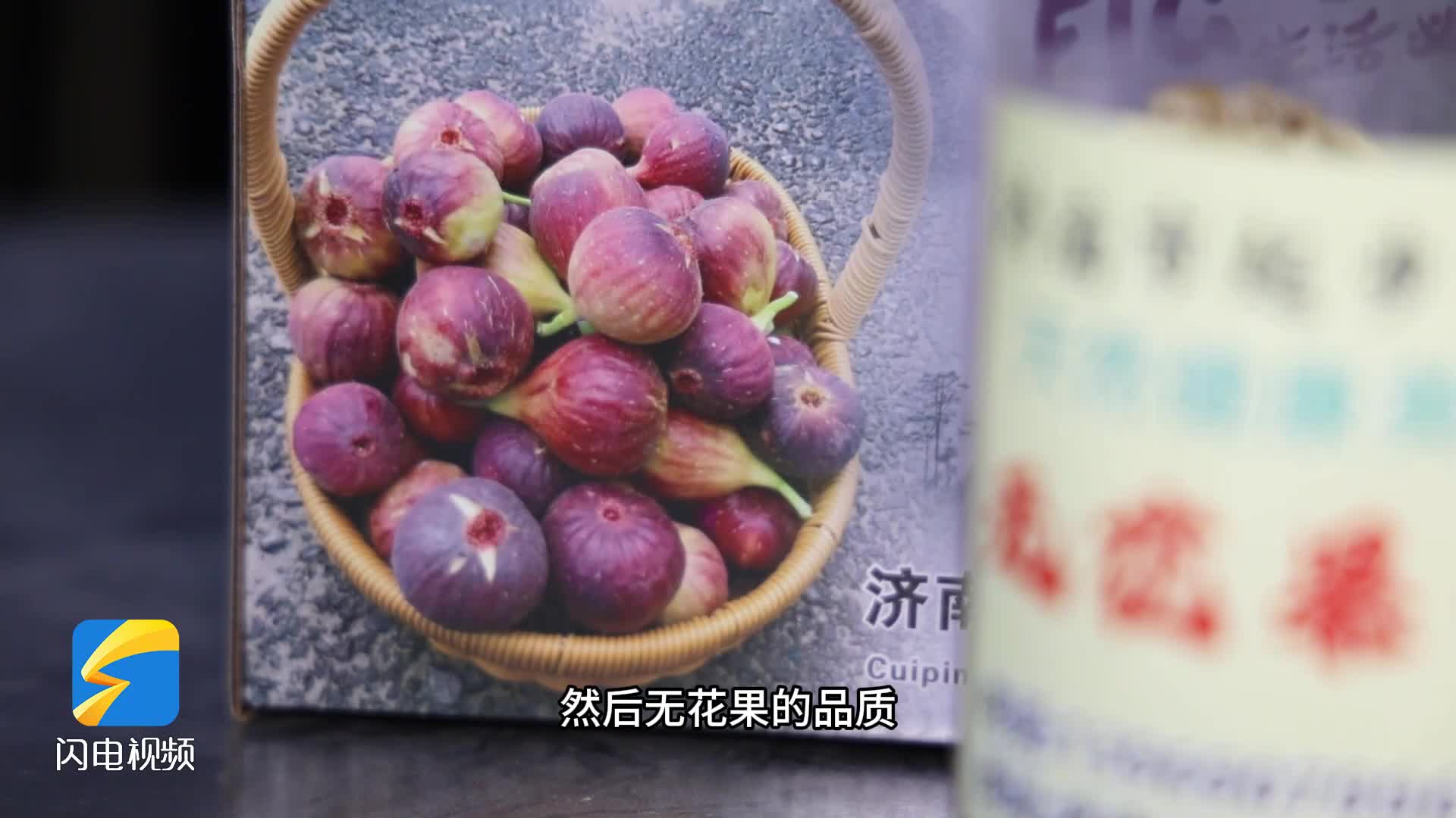 济南起步区:特色果蔬采摘出圈 打造种养加工特色产业