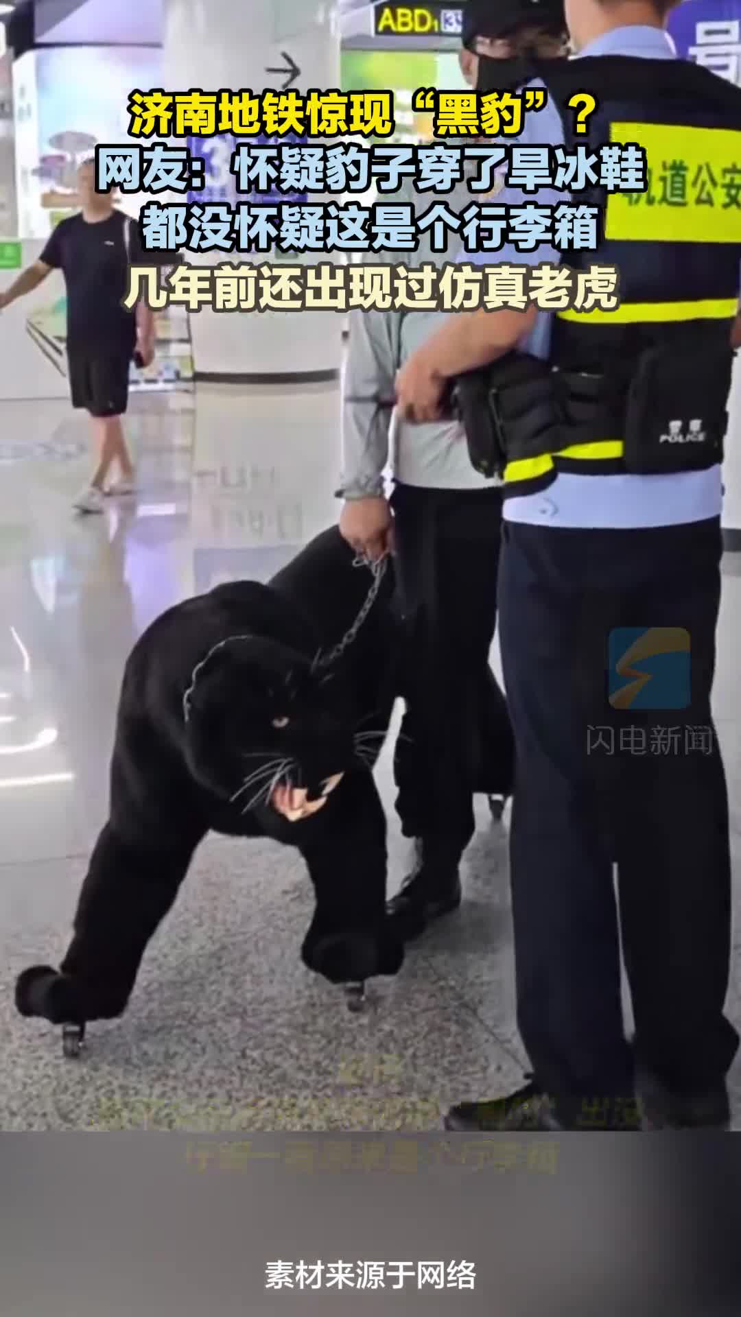 济南地铁惊现“黑豹”?网友:怀疑豹子穿了旱冰鞋都没怀疑这是个行李箱